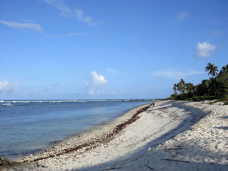 gal/Pacific tour September 2009/T30/Beach_Bonkiriki.jpg